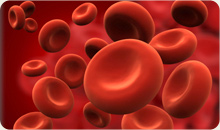 Blood Cells