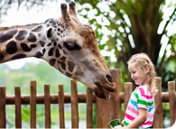 Child at Zoo