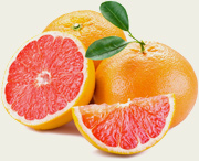 Grapefruit