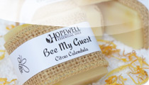 Bee My Guest Soap