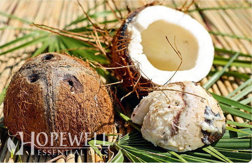 Coconut Oil, fractionated