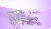 Lavender - French