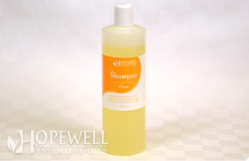 Shampoo | Citrus 16oz