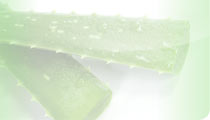 Aloe Vera JUICE (from Whole Leaf)