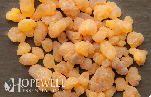 Frankincense oil for age spots Age spots are annoying. However